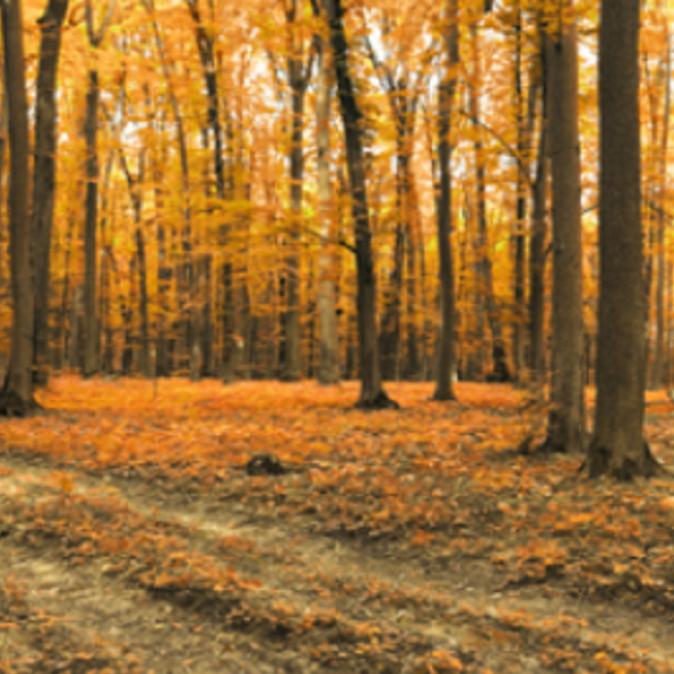 Solutions for living