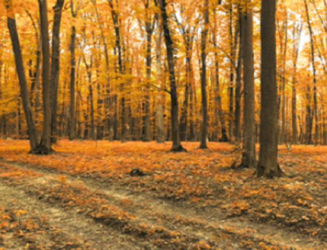 Solutions for living